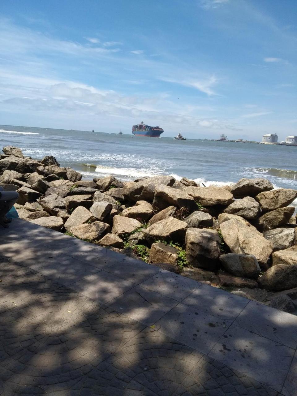 Fort Kochi Casa Feliz Bed & Breakfast エクステリア 写真